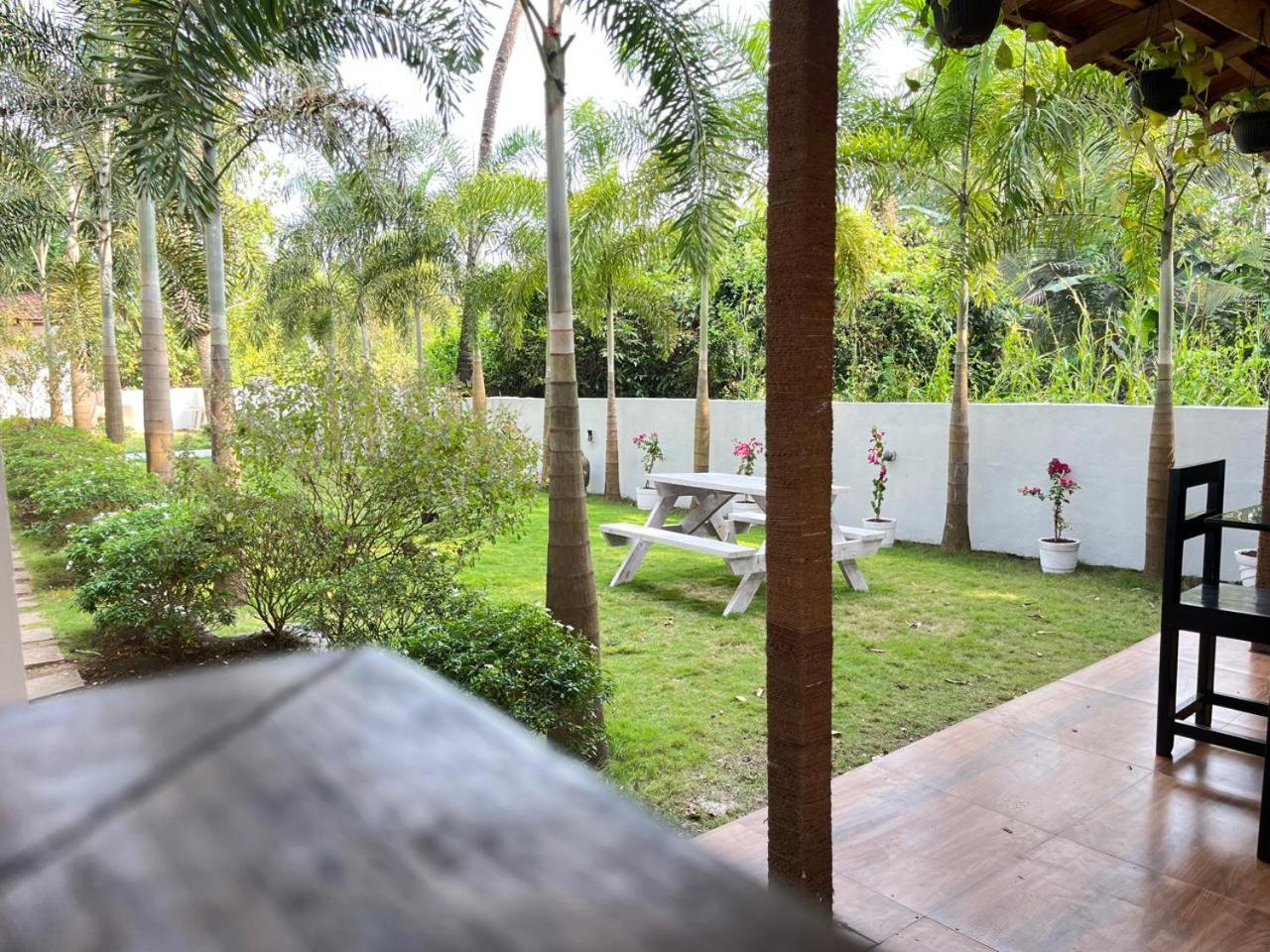 14 Magic Pods Hotel Morjim Bagian luar foto