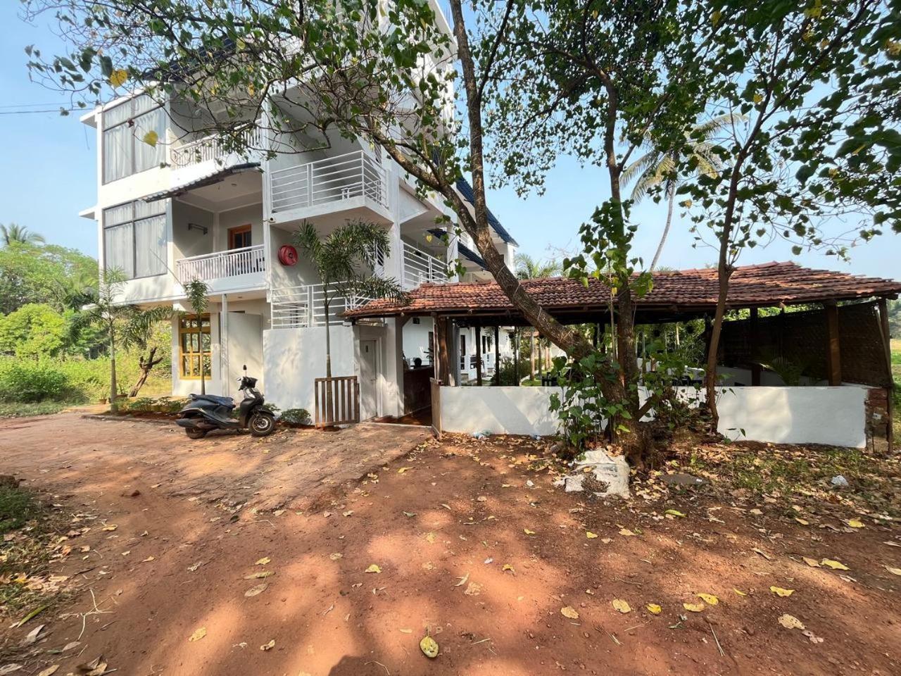14 Magic Pods Hotel Morjim Bagian luar foto